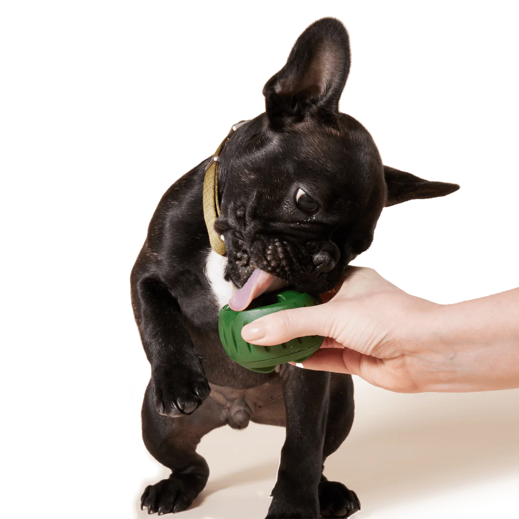 Pupsicle Tray
